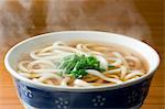 Japanese style Udon noodles