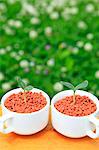 Green leaves sprouting from coffee cups