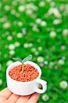 Green leaf sprouting from a cup