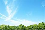 Trees and sky with clouds