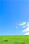 Grassland and blue sky with clouds