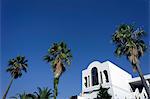 House and palm trees