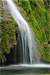 Cascade des Tufs falling over green Moss, Arbois, Jura, Jura Mountains, Franche-Comte, France