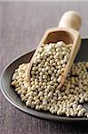 Close-up of Bowl of White Peppercorns with Scoop