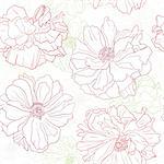 Hand drawn floral wallpaper with poppy flowers