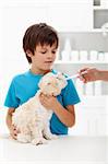 Boy at the veterinary doctor with his little doggy receiving medication