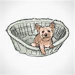 Small pet dog in grey basket isolated on white background