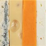 Four different types of cheese such as Leerdammer, Cheddar and Gorgonzola forming a background