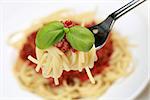 Spaghetti with Bolognese sauce and basil on a fork