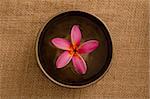 frangipani spa concept photo, lowlight ambient spa lighting, shallow dof