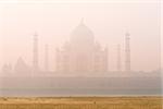 Sunrise at the mystic foggy Taj Mahal, view from Yamuna River, India