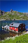 Typical red modern fishing hut in fjord on Lofoten islands in Norway