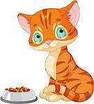 Cute striped kitten near the cat's food bowl