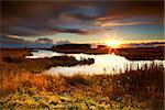 dramatic sunrise over pond close by Leekstermeer, Drenthe, Netherlands