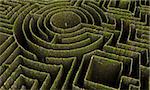 green maze