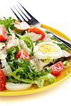 Salad with tomatoes and chicken on a white background.