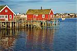 Traditional red rorbu huts with green roofs in fishing town of Reine on Lofoten islands in Norway