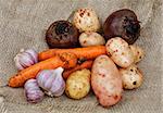 Heap of Raw Carrot, Potato, Beet, Onion and Garlic closeup on Sacking background