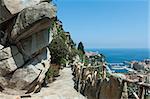 View of Monte Carlo and the Mediterranean Sea from the garden of exotic plants