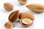 seeds of argan on white background