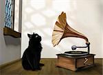Illustration of a black cat looking into an old gramophone horn