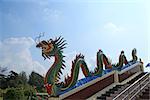 Dragon on the stairway in Thailand