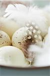 close up of spotted easter eggs and feathers