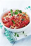 spaghetti with tomato sauce, parmesan and oregano