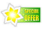 spring special offer banner - text in green label with white yellow flowers, business concept