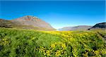 Mighty fjords rise from the sea in the Westfjords Peninsula, northwestern Iceland