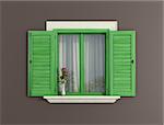 detail of a green window with shutters open - rendering