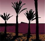 Illustration of a beach with palm trees in the     dusk or dawn.