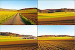 The Swiss Village  Surrounded by Forests and Plowed Fields, Set