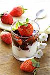 dairy dessert with chocolate sauce and strawberries