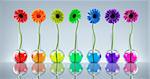 Flowers in laboratory flasks with liquids of different colors
