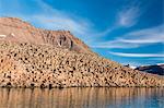 Columnar basalt, Vikingbukta (Viking Bay), Scoresbysund, Northeast Greenland, Polar Regions