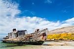 Derelict wooden ship on New Island, Falkland Islands, South Atlantic Ocean, South America