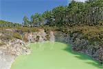 Devil's Bath, Waiotapu Thermal Area, Rotorua, North Island, New Zealand, Pacific