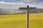 The rolling hills of the South Downs National Park near to Brighton, Sussex, England, United Kingdom, Europe