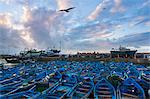 Birds flying over boats in urban harbor