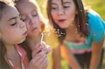 Girls blowing dandelion outdoors