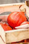 Close up of pumpkins in crate