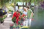 Friends shopping for plants in nursery