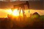 Silhouette of oil wells at sunset