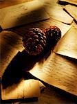 Pine cones on table of letters
