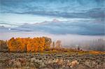 Mist over rural landscape