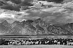 Clouds over mountains in rural landscape