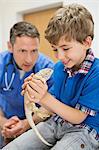 Veterinarian and owner examining lizard in vet's surgery