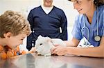 Veterinarian and owner examining rabbit in vet's surgery