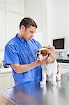 Veterinarian examining dog in vet's surgery